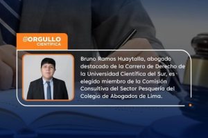 Abogados en Huaytará, Perú: Expertos Legales de Confianza